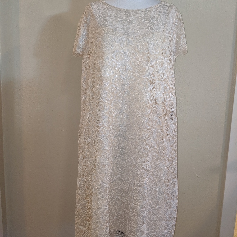 Marina Dresses 18W Taupe Lace Sheath Dtess